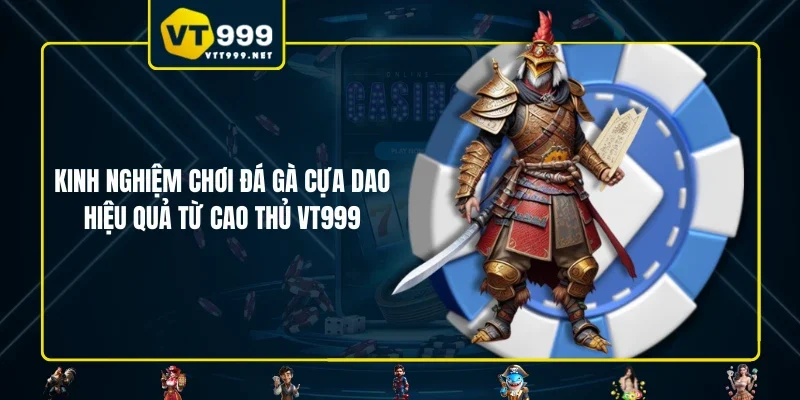 Kinh nghiệm chơi đá gà cựa dao hiệu quả từ cao thủ VT999