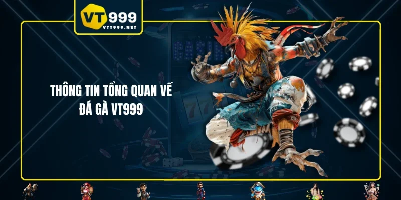 Thông tin tổng quan về đá gà VT999